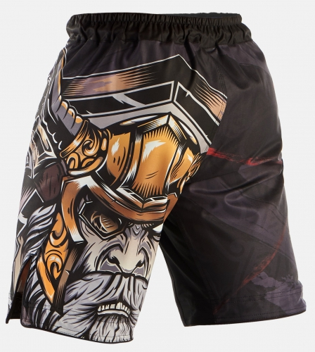 Шорты для ММА Peresvit Odin Blessing MMA Fight Shorts купить
