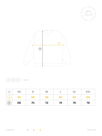 Sweatshirt MANTO Crewneck Varsity Gray photo