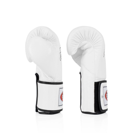 Боксерские перчатки Fairtex BGV5 White, Фото № 4