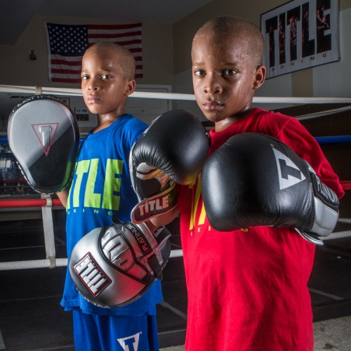 Лапы TITLE Platinum Proclaim Power Punch Mitts фото