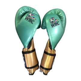 Cleto Reyes WBC Leather Contact Closure Gloves, Photo No. 2