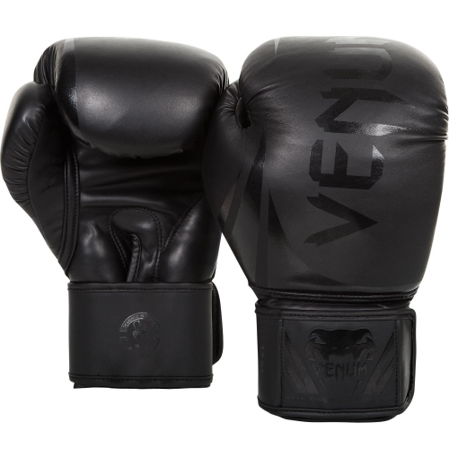 Боксерські рукавиці Venum Challenger 2.0 Boxing Gloves Matte Black купити