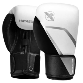 Боксерские перчатки Hayabusa E1 Boxing Gloves White Silver