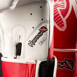 Боксерские перчатки Hayabusa Ikusa Recast 10oz Gloves, Фото № 2
