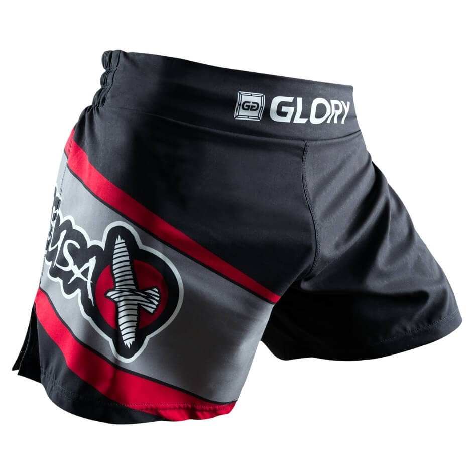 Шорты Hayabusa Glory Kickboxing Shorts Black