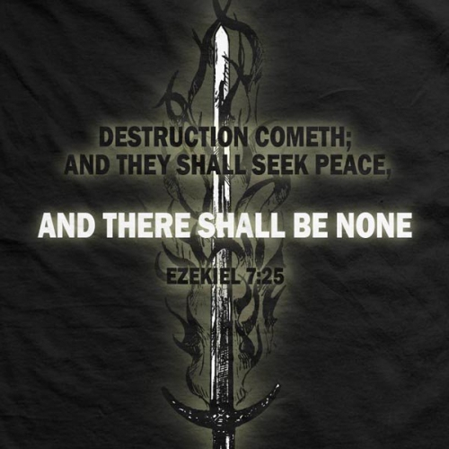 Футболка Ranger Up The Lord is a Man of War Normal-Fit T-Shirt ціна