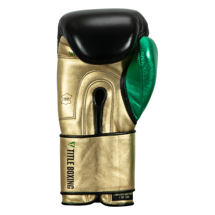 Boxing gloves Title WBC Green Belt Training Gloves 1.0 Black Green photo