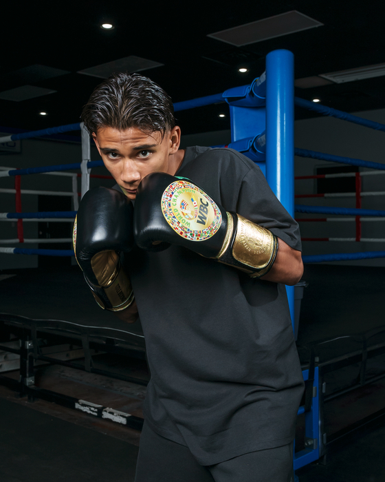 Boxing gloves Title WBC Green Belt Training Gloves 1.0 Black Green size