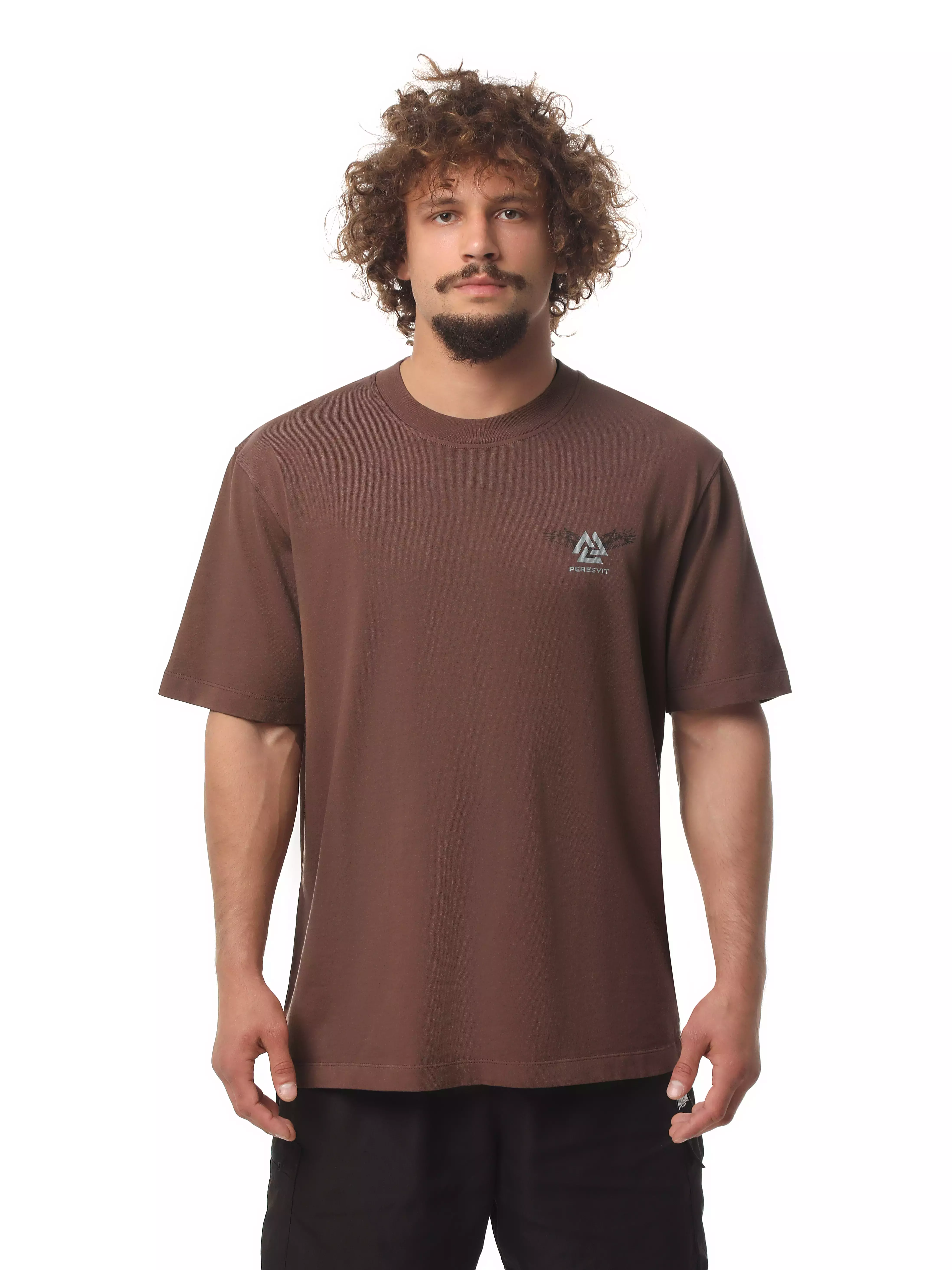 Футболка Peresvit Oversized Sacred Tree T-shirt Light Brown купити