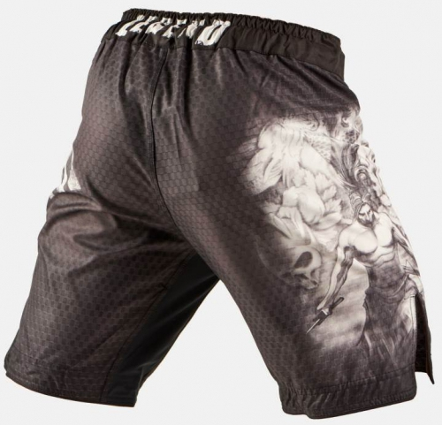 Шорты для MMA Peresvit Samurai Fury 2.0 Fightshorts Black цена