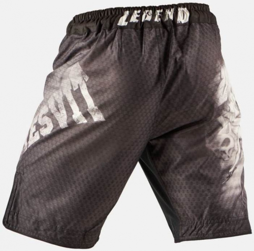 Шорты для MMA Peresvit Samurai Fury 2.0 Fightshorts Black купить