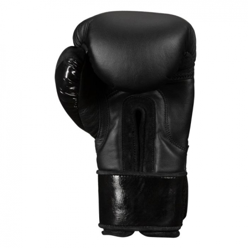 Title Black Training Gloves 2.0 boxing gloves buy