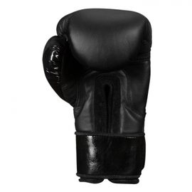 Боксерские перчатки Title Black Training Gloves 2.0, Фото № 2