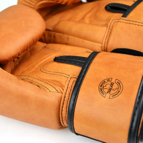  Боксерские перчатки Fairtex BGV21 Legacy ціна