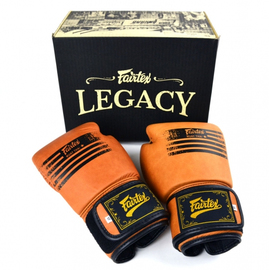  Боксерские перчатки Fairtex BGV21 Legacy, Фото № 2