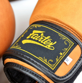  Боксерские перчатки Fairtex BGV21 Legacy, Фото № 7