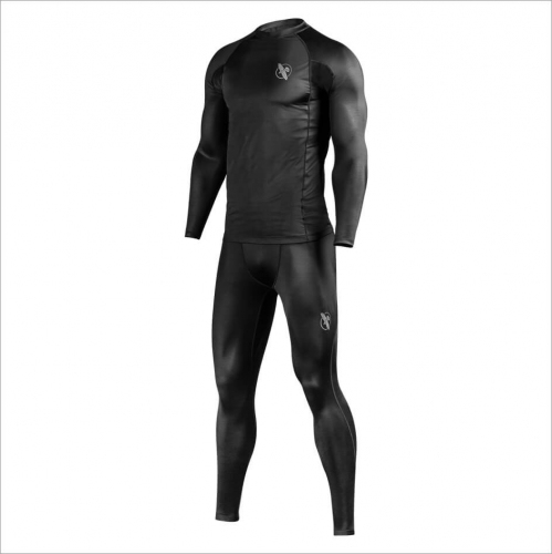 Компрессионная футболка Hayabusa Haburi 2.0 Long Sleeve Compression Top цена