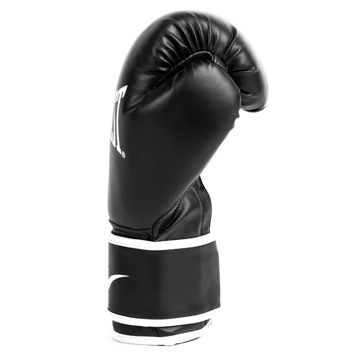 Boxing gloves Everlast Core 2 Boxing Gloves Blac price