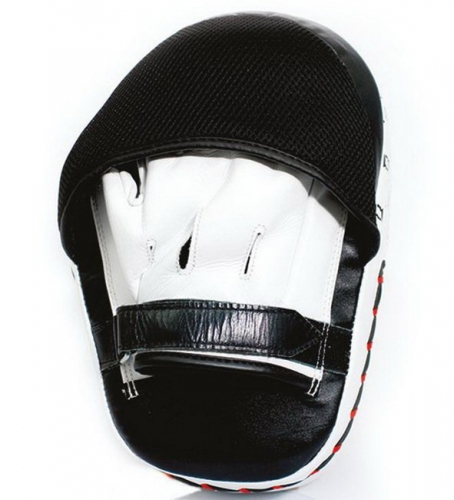 Лапы боксерские Fairtex FMV11 Aero цена