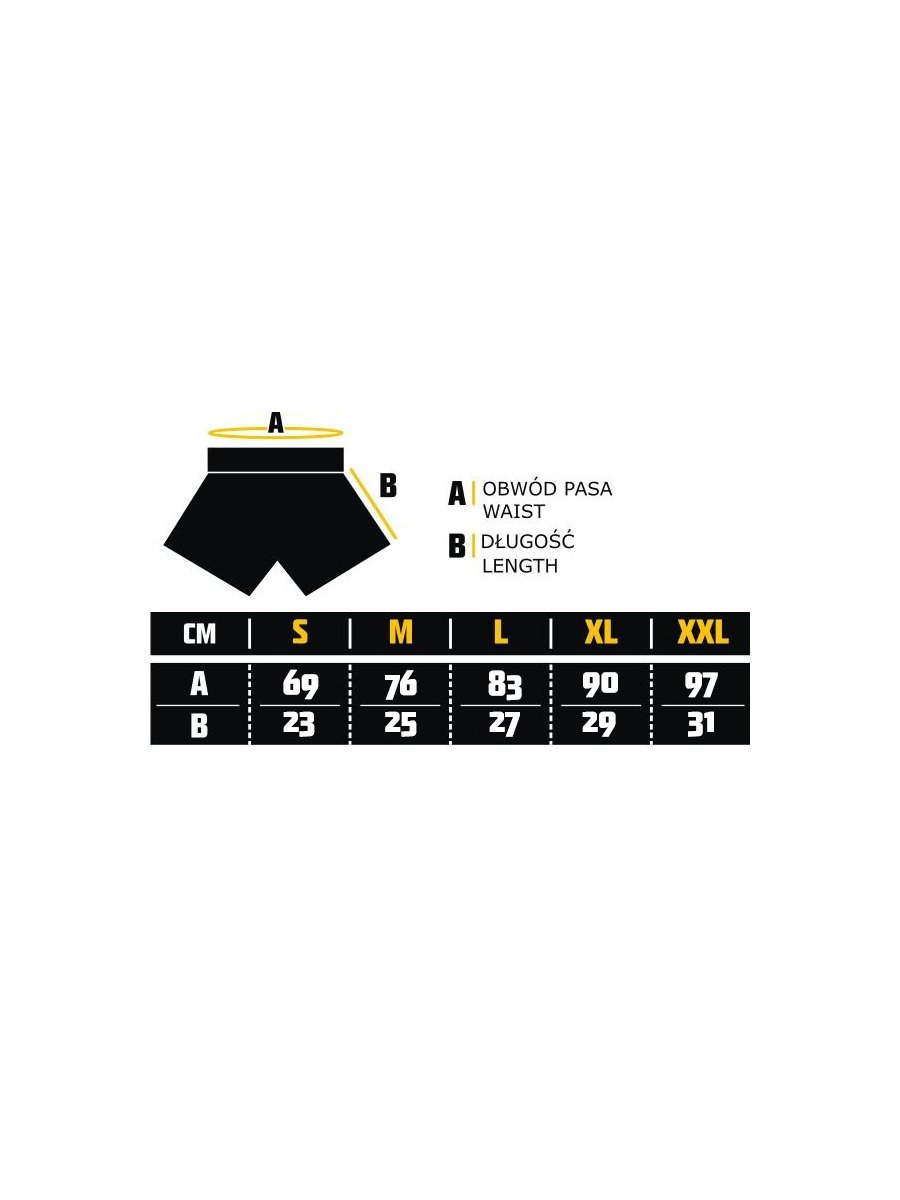 Shorts for Thai boxing MANTO Shorts Muay Thai Black Silver original