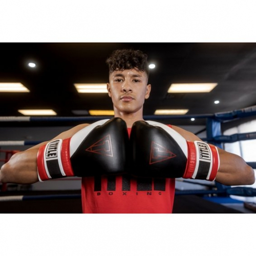 Боксерские перчатки Title GEL E-Series Training Sparring Gloves фото