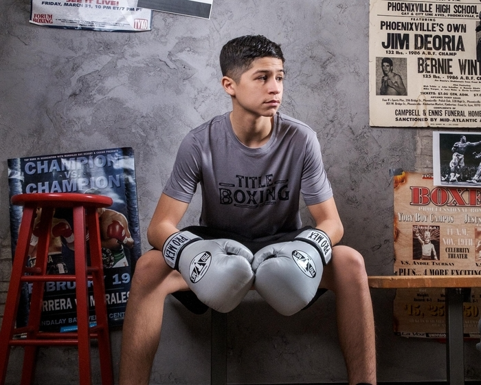 Боксерские перчатки Pro Mex Professional Training Gloves 3.0 Silver оригинал