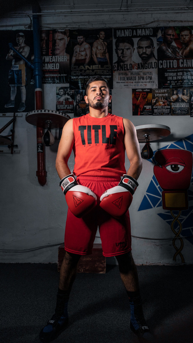 Боксерські рукавиці Title Gel E-Series Training&Sparring Gloves Red White Black де купити