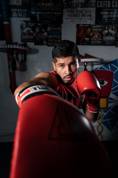 Боксерські рукавиці Title Gel E-Series Training&Sparring Gloves Red White Black оригінал