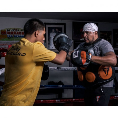 Лапы Title Ionic Strike Punch Mitts где купить