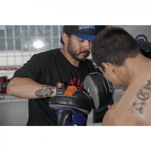 Лапы Title Ionic Strike Punch Mitts размер