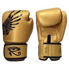 Боксерські рукавиці Fairtex BGV1 Gold Limited Edition Boxing Gloves купити
