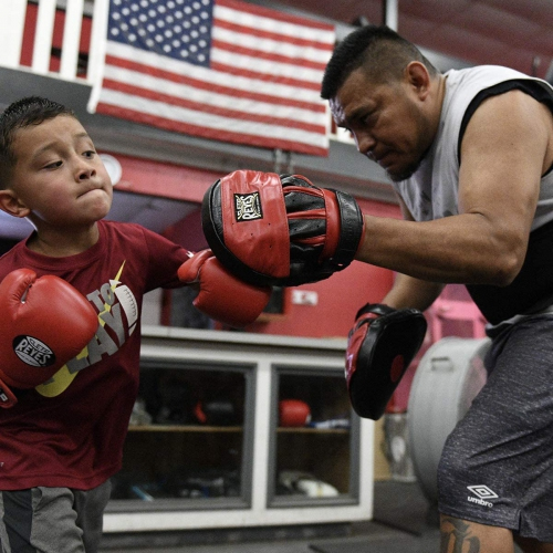Лапы Cleto Reyes Curved Punch Mitts фото