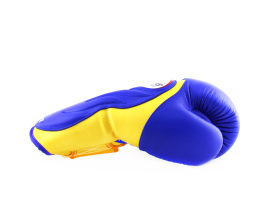 Боксерські рукавиці Twins Velcro Extra Design BGVL6 Gold Blue, Фото № 3