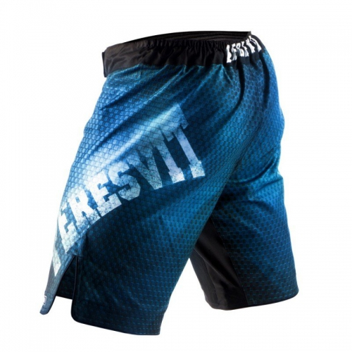Шорты Peresvit Legend Fightshorts Dark Marine купить