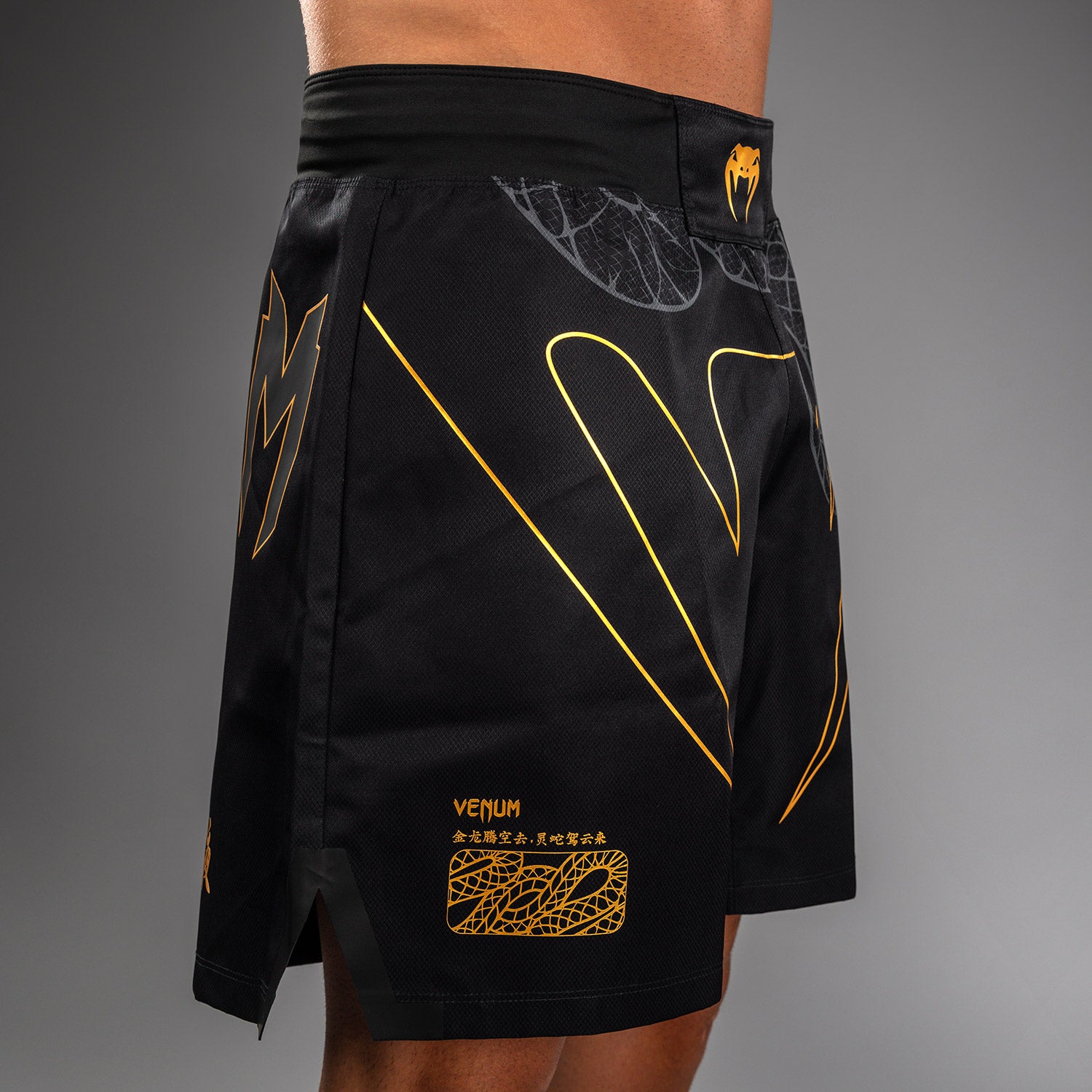 Бійцівські шорти Venum Serpenti Fightshorts Black Silver Gold ціна