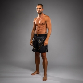 Бойцовые шорты Venum Serpenti Fightshorts Black Silver Gold