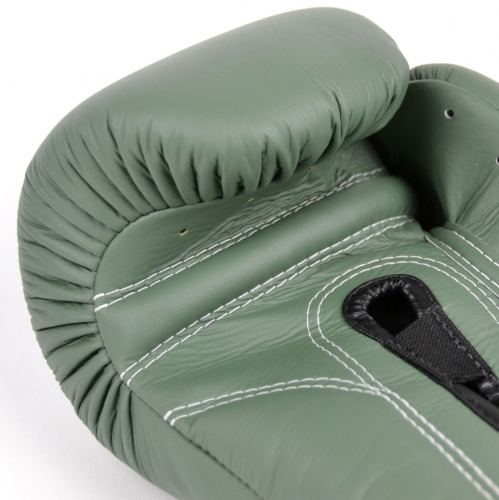 Боксерські рукавиці Fairtex F-Day BGV11 Limited Edition Boxing Gloves Київ