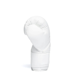 Боксерські рукавиці Everlast Elite 2 Hook & Loop Pro Boxing Gloves White ціна