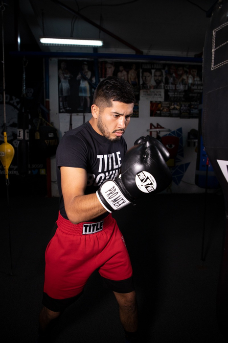 Снарядные перчатки Pro Mex Professional Bag Gloves V3.0 Black где купить