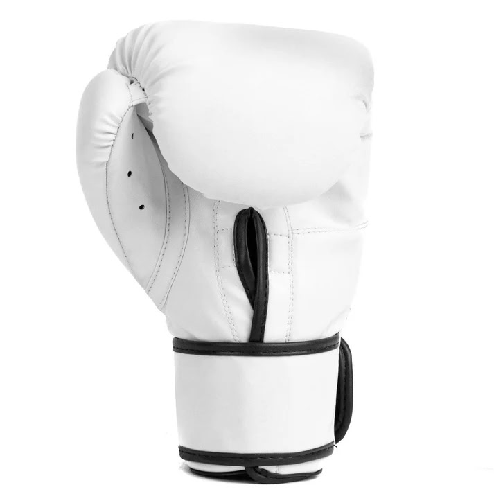 Boxing gloves Everlast Core 2 Boxing Gloves White original