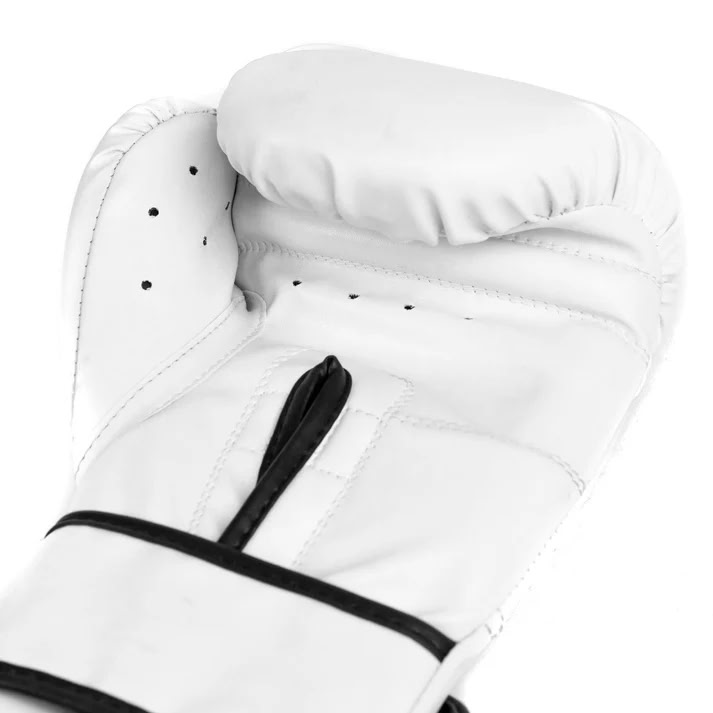 Boxing gloves Everlast Core 2 Boxing Gloves White size