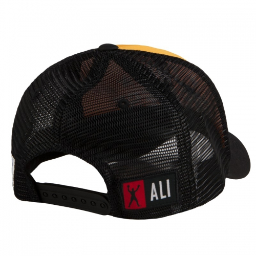 Бейсболка TITLE Boxing Muhammad Ali Adjustable Gold цена