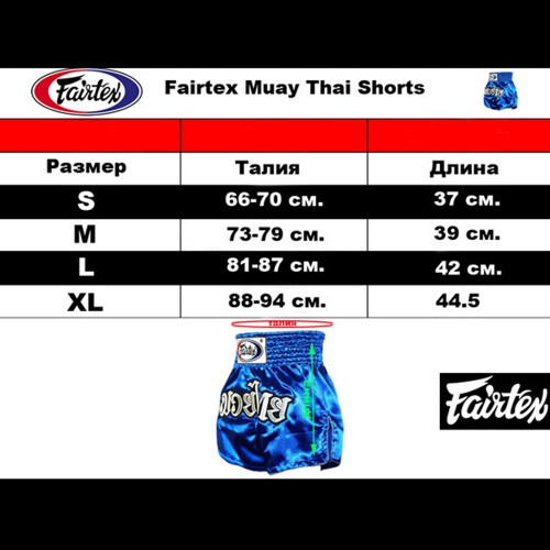Шорты для тайского бокса Fairtex My Fortune Black Muaythai Shorts фото