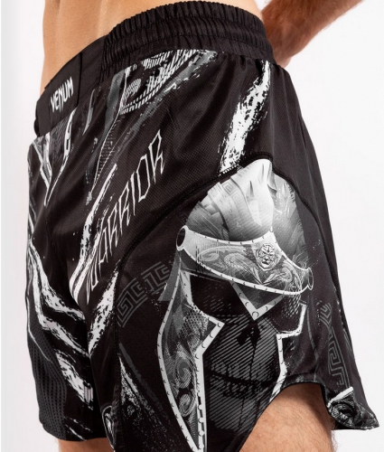 Шорти для MMA Venum GLDTR 4.0 Fightshorts де купити