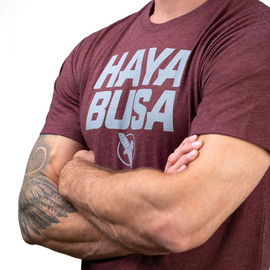 Футболка Hayabusa Casual Logo T-Shirt Red, Фото № 3