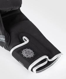 Боксерські рукавиці Venum Gladiator 5.0 Boxing Gloves Black Silver фото
