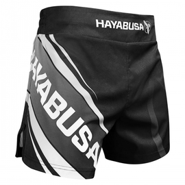 Шорты Hayabusa Kickboxing 2.0 Shorts Black, Фото № 2