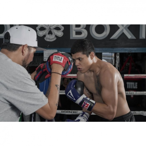 Лапы Title Boxing Speed Mitt фото