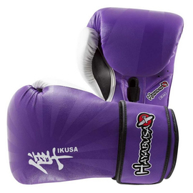 Перчатки боксерские Hayabusa Ikusa 16oz Purple