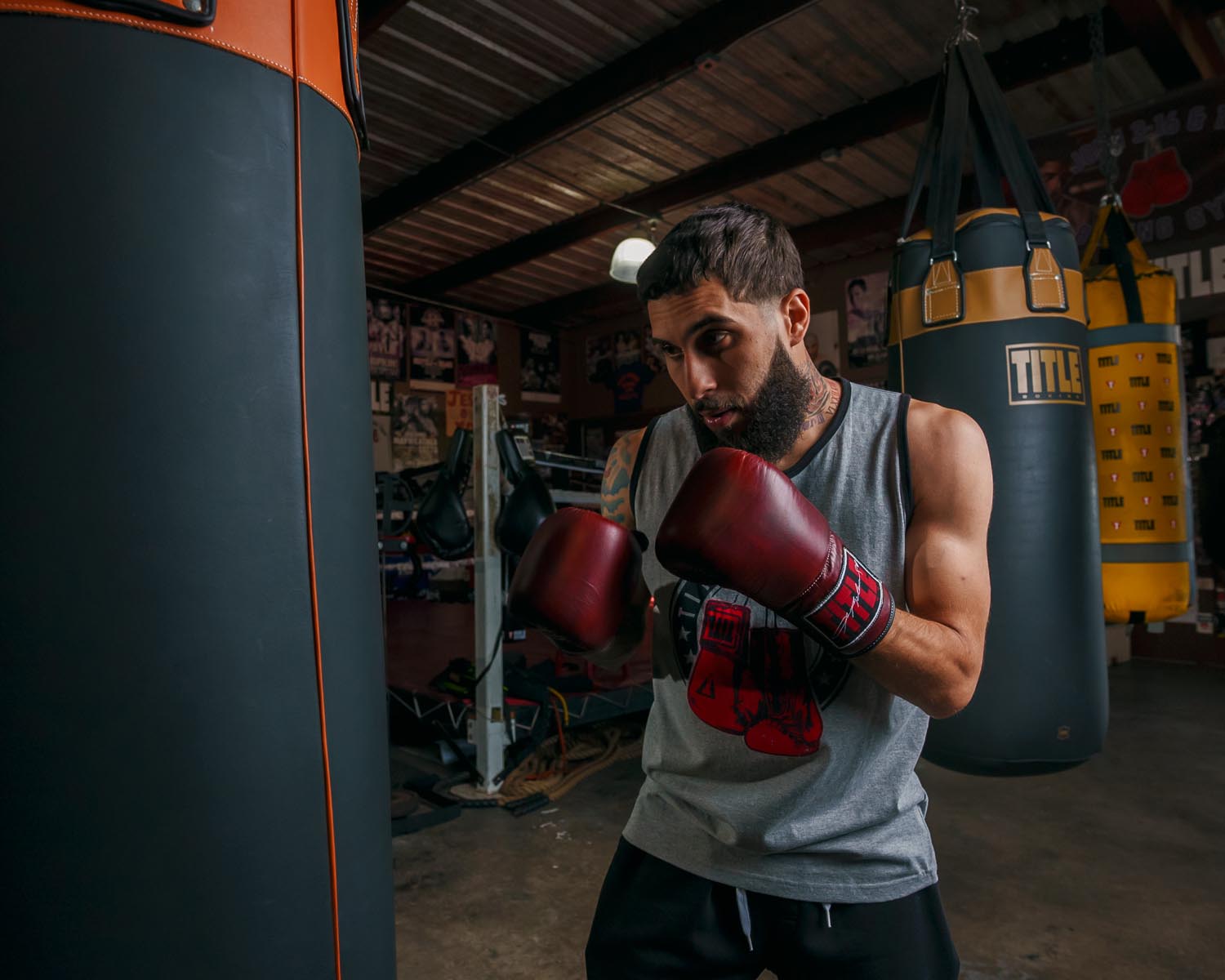 Боксерские перчатки Title Boxing Sugar Ray Leonard Throwback Leather Bag Gloves фото